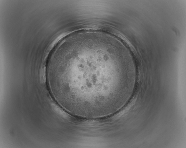 X0000112771075200908201502