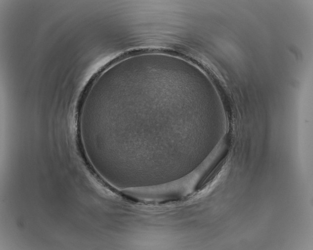 X0000112771077200908201502
