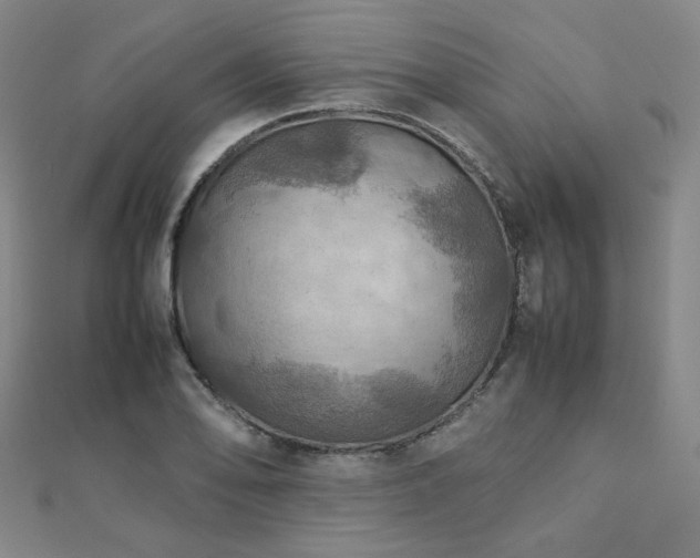 X0000112771078200908201501