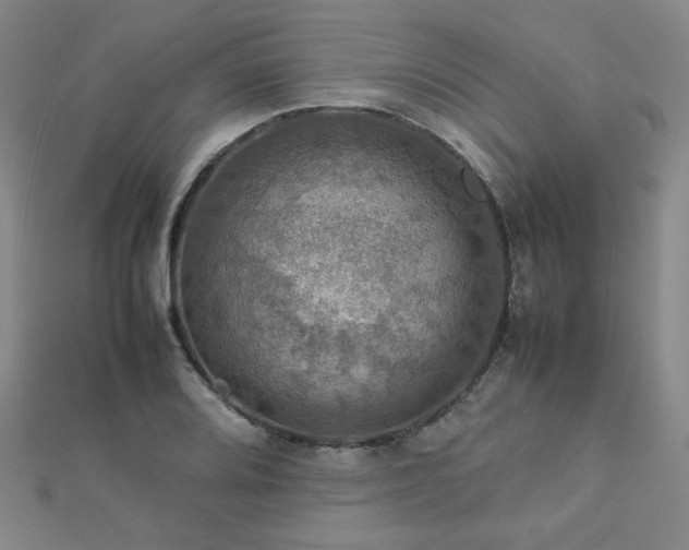 X0000112771080200908201501