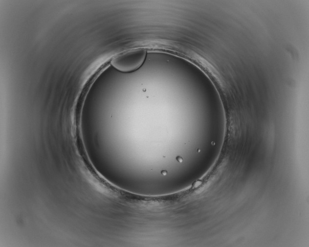 X0000112771082200908201501