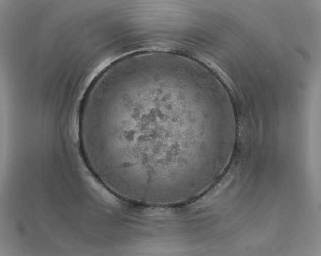 X0000112771083200908201501