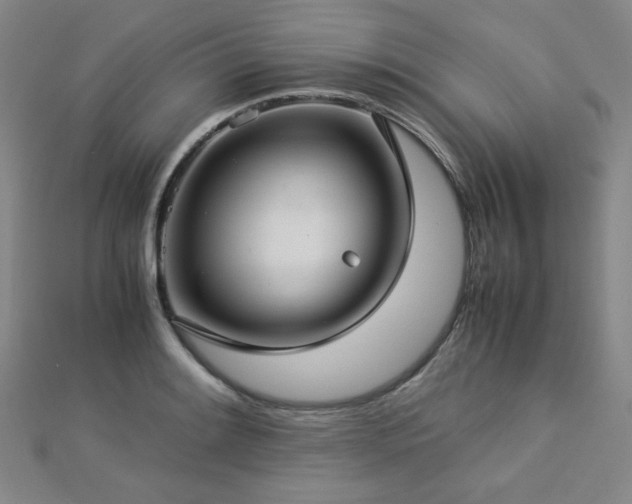 X0000112771084200908201501