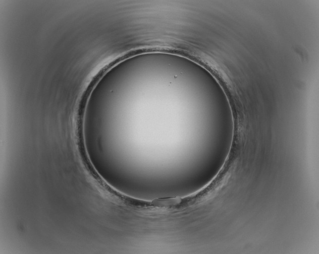 X0000112771085200908201501