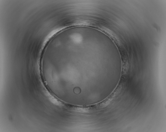 X0000112771086200908201501