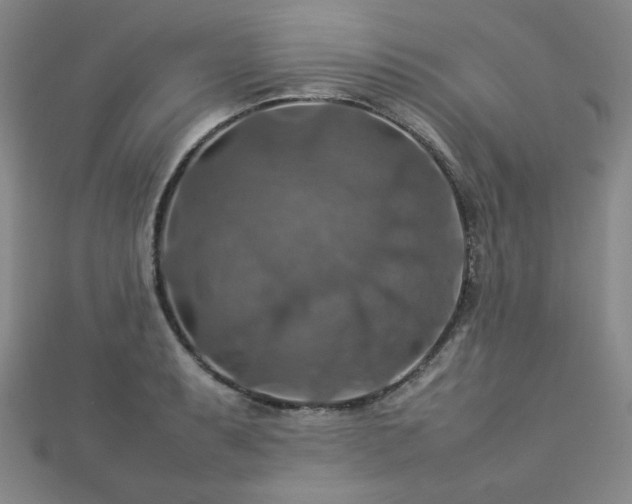 X0000112771087200908201501