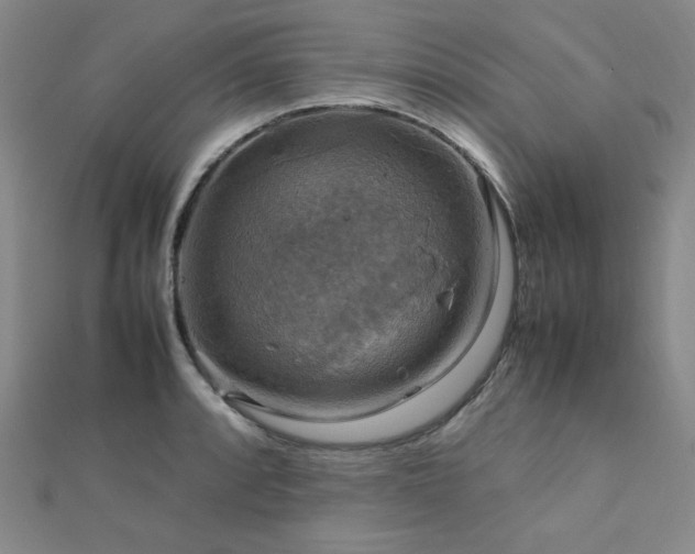 X0000112771088200908201501