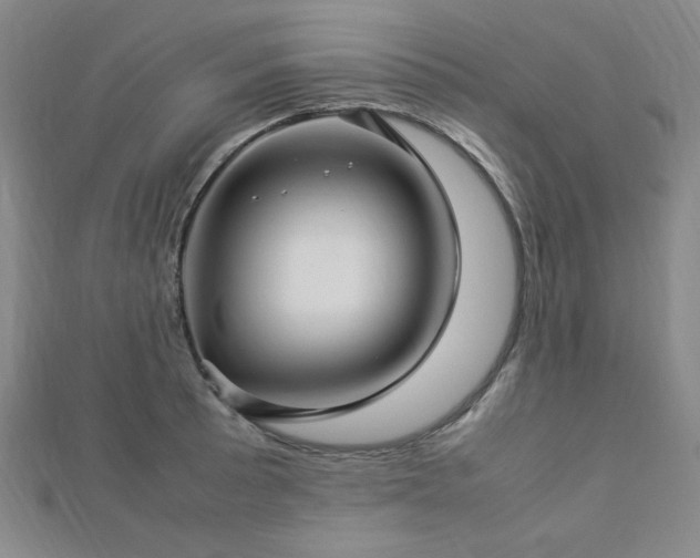 X0000112771089200908201501