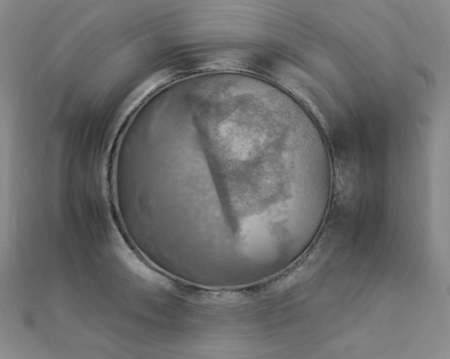 X0000112771090200908201501