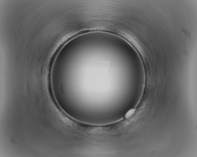 X0000112771093200908201501