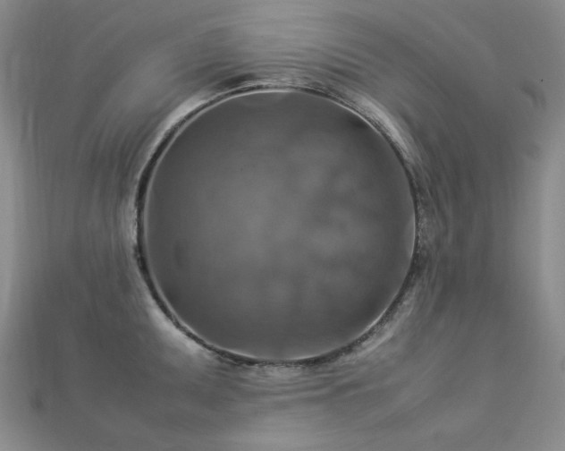 X0000112771095200908201501