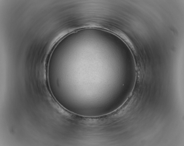X0000112771096200908201501