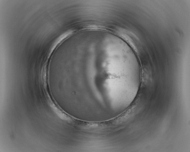 X0000112771098200908201501