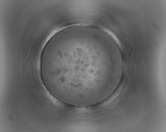 X0000112771099200908201501