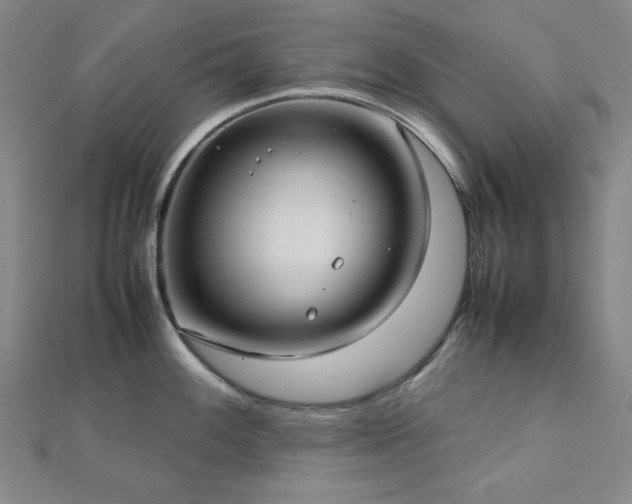 X0000112771100200908201501