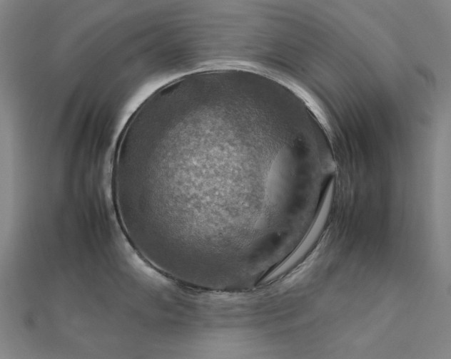 X0000112771102200908201501