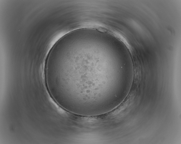 X0000112771103200908201501