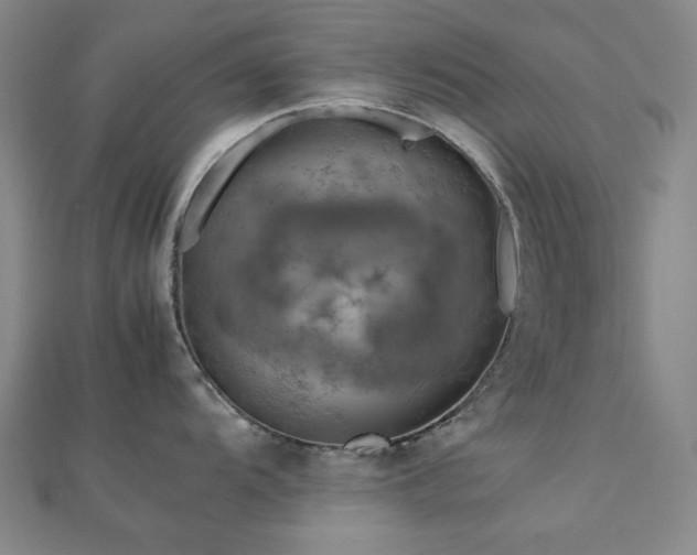 X0000112771104200908201501