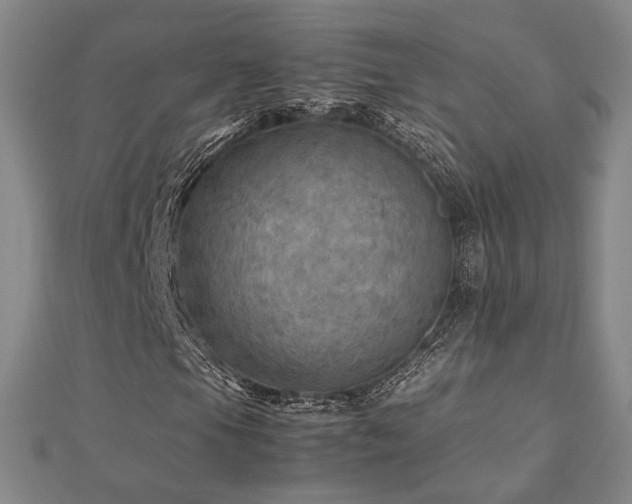 X0000112771105200908201501