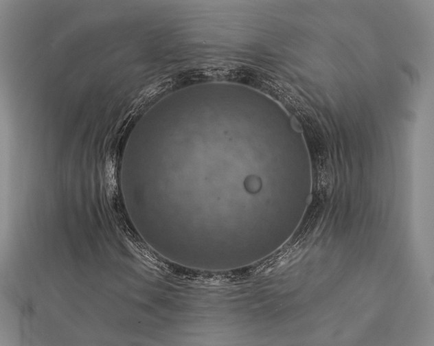X0000112771106200908201501