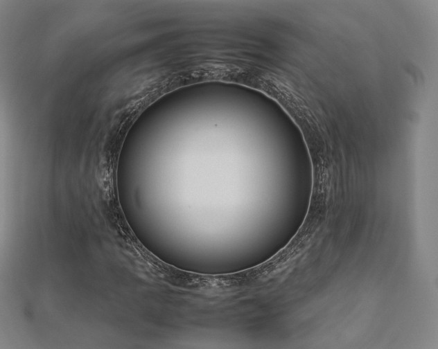 X0000112771109200908201501
