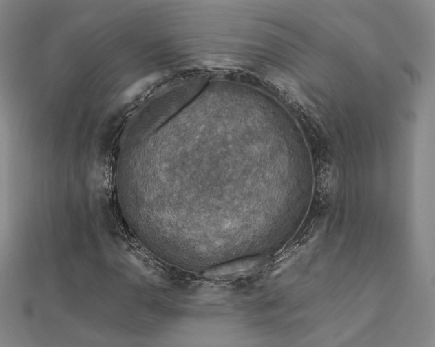 X0000112771110200908201501