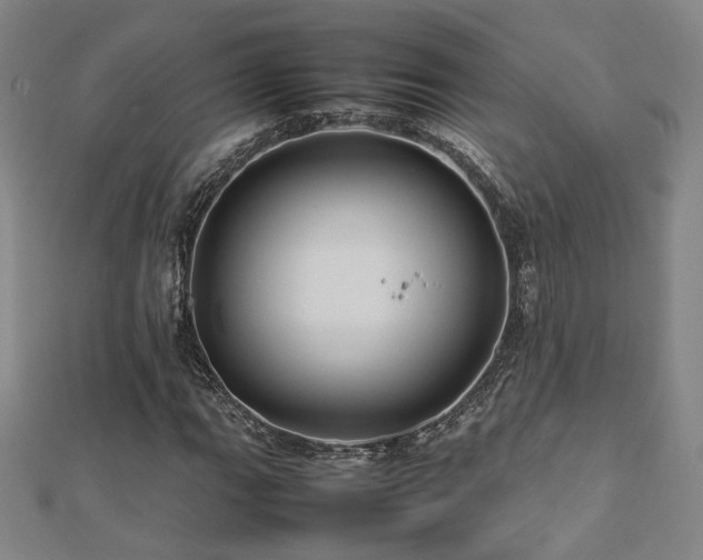 X0000112771111200908201501