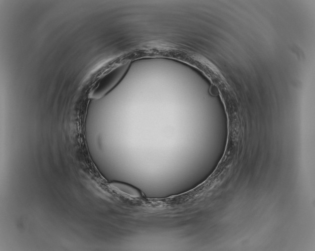 X0000112771112200908201501