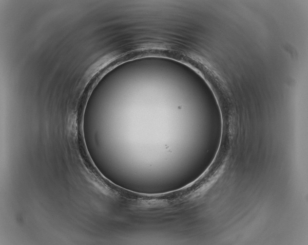 X0000112771113200908201501