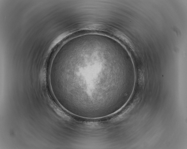 X0000112771114200908201501