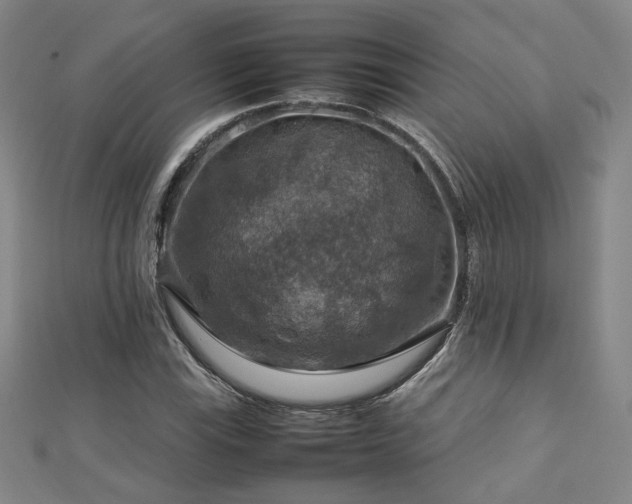 X0000112771115200908201501