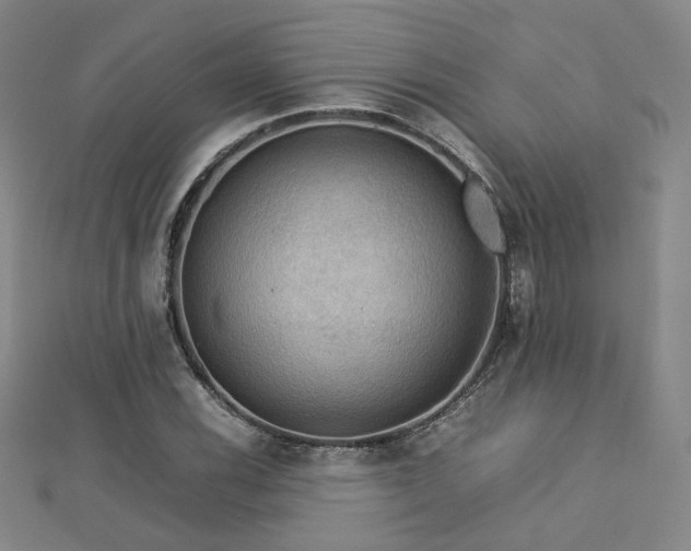 X0000112771116200908201501