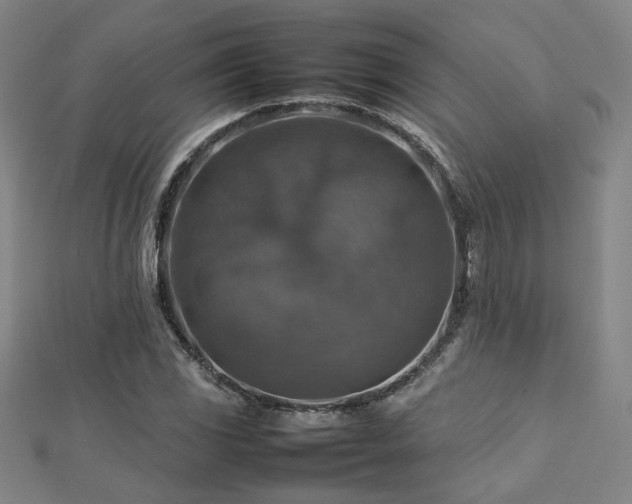 X0000112771117200908201501