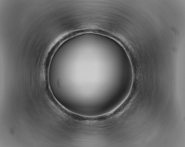 X0000112771118200908201501