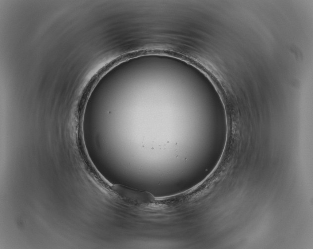 X0000112771119200908201501