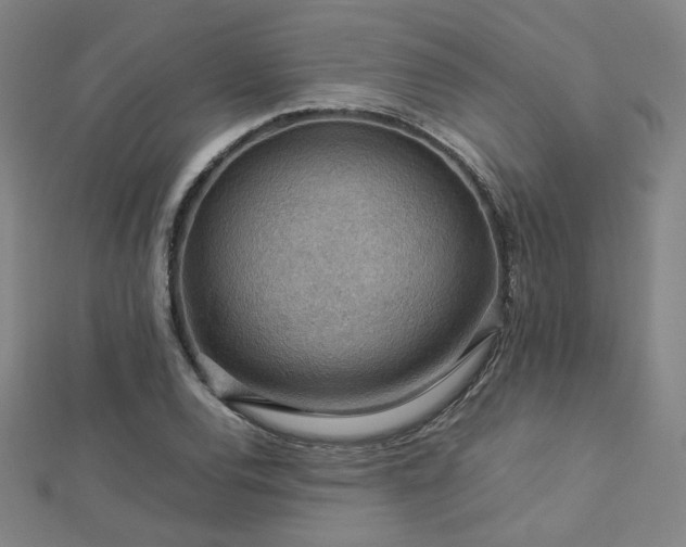 X0000112771120200908201501
