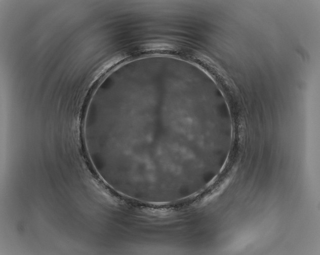 X0000112771121200908201501