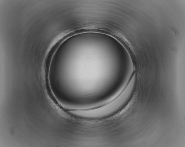 X0000112771122200908201501