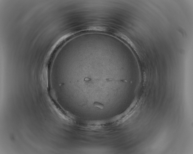 X0000112771123200908201501
