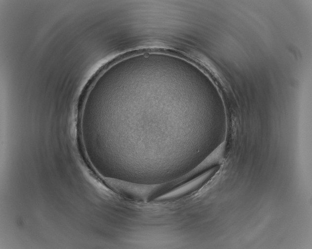 X0000112771124200908201501
