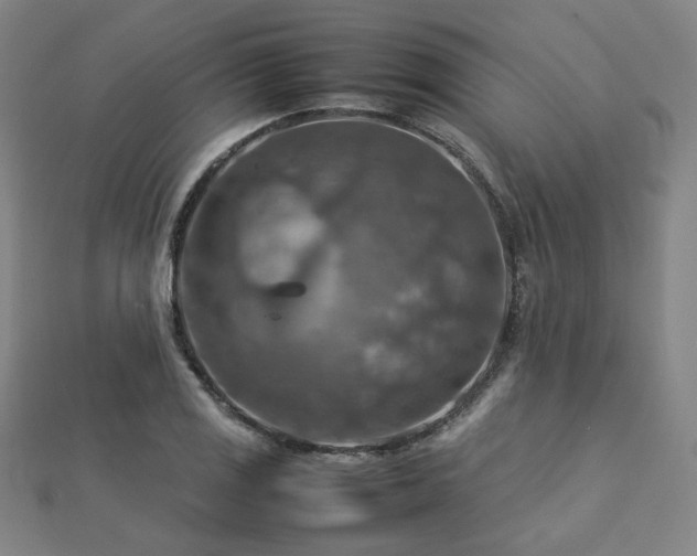 X0000112771125200908201501