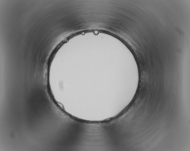 X0000112771126200908201501