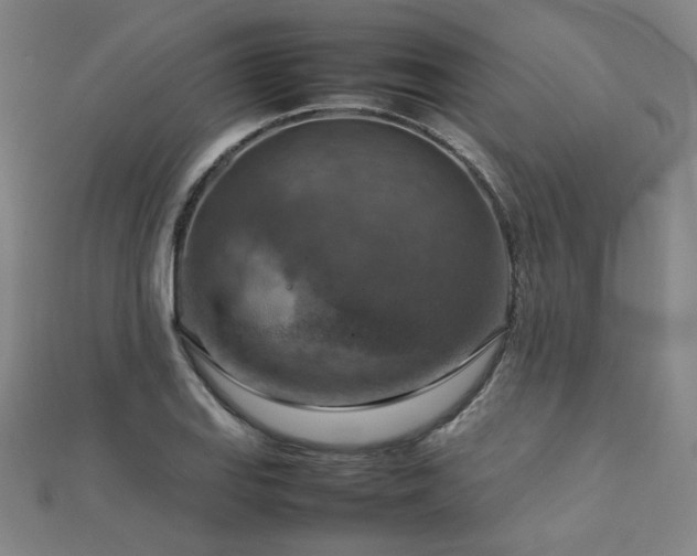 X0000112771127200908201501