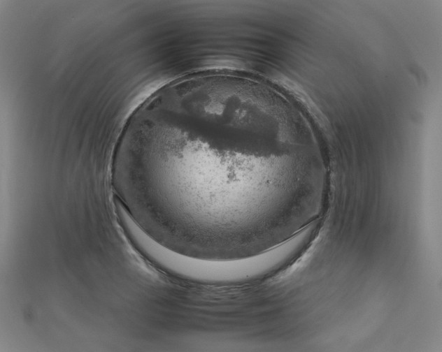 X0000112771129200908201501