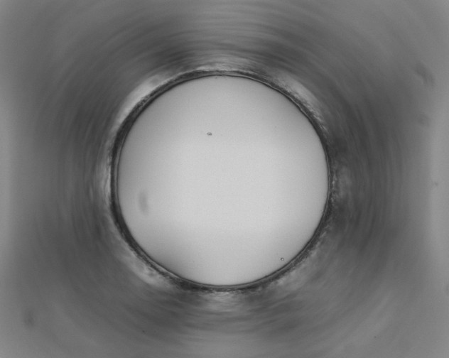 X0000112771130200908201501