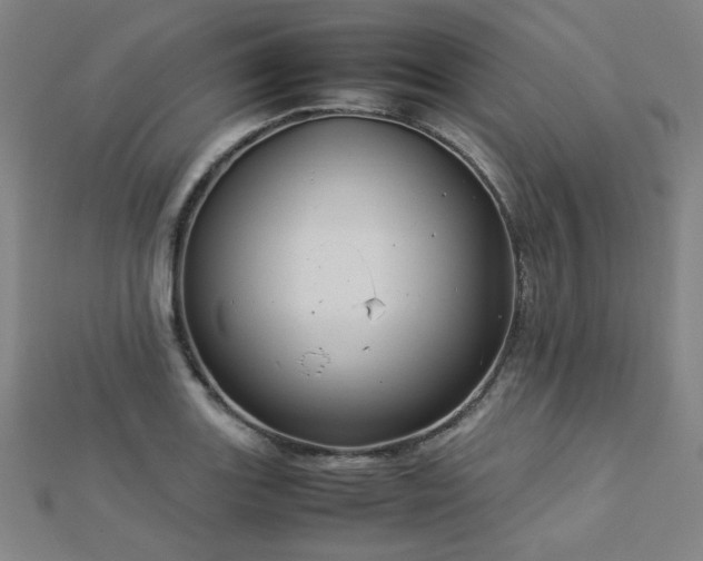 X0000112771131200908201501
