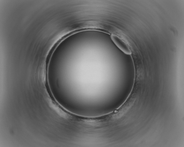 X0000112771132200908201501