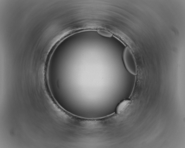 X0000112771134200908201501