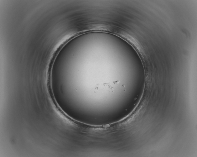 X0000112771135200908201501