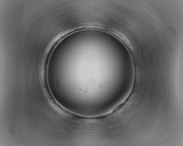 X0000112771136200908201501